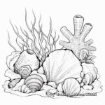 Exquisite Seashell Collection Coloring Pages 3