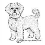 Exquisite Show Yorkie Coloring Pages 1