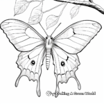 Extreme Detail Luna Moth Coloring Pages for Expert Colorers 1