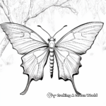 Extreme Detail Luna Moth Coloring Pages for Expert Colorers 2