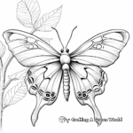 Extreme Detail Luna Moth Coloring Pages for Expert Colorers 4
