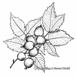 Fall Leaves and Acorns Coloring Pages 2