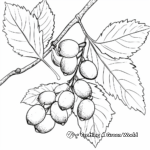 Fall Leaves and Acorns Coloring Pages 4