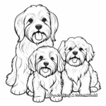 Family of Havanese Dogs Coloring Pages 1
