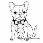 Fancy Dressed French Bulldog Coloring Pages 2