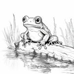 Fantasy Red Eyed Tree Frog Coloring Pages for Adults 2