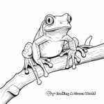 Fantasy Red Eyed Tree Frog Coloring Pages for Adults 3