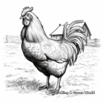 Farm-Style Rooster Coloring Pages 3