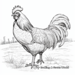 Farm-Style Rooster Coloring Pages 4
