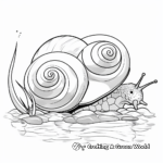 Fascinating Freshwater Snail Coloring Sheets 1