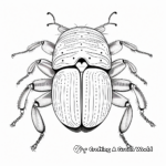 Fascinating Weevil Beetle Coloring Pages 1