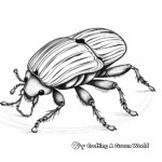 Fascinating Weevil Beetle Coloring Pages 3