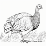 Feather-Focused Wild Turkey Coloring Pages 1