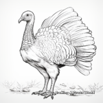 Feather-Focused Wild Turkey Coloring Pages 4