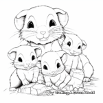 Ferret Family Coloring Pages: Male, Female, and Kits 3