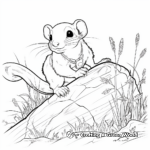 Ferret Hunting Coloring Pages 4