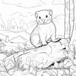 Ferret In The Wild: Forest-Scene Coloring Pages 2