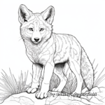 Fierce Coyote Coloring Pages for Adults 2