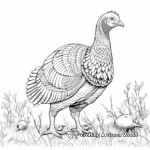 Finely Detailed Wild Turkey Coloring Pages for Adults 2