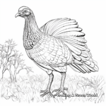 Finely Detailed Wild Turkey Coloring Pages for Adults 4