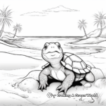 Florida Snapping Turtle: Beach-Scene Coloring Pages 2