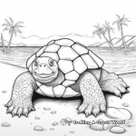 Florida Snapping Turtle: Beach-Scene Coloring Pages 3