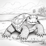 Florida Snapping Turtle: Beach-Scene Coloring Pages 4