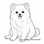 Fluffy Japanese Spitz Dog Coloring Pages 3