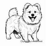 Fluffy Japanese Spitz Dog Coloring Pages 4