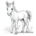 Foal and Rainbow Coloring Pages for Imaginative Kids 1