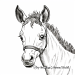 Foal and Rainbow Coloring Pages for Imaginative Kids 2