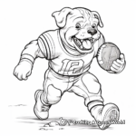 Football Georgia Bulldog: Sports Inspired Coloring Pages 2