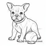 French Bulldog with a Ball Coloring Pages 1
