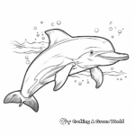 Friendly Common Dolphin Coloring Pages 4