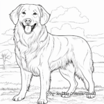 Full Grown Golden Retrievers Coloring Pages 1