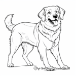 Full Grown Golden Retrievers Coloring Pages 2
