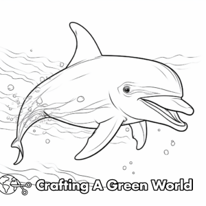 Dolphin Coloring Pages - Free &amp; Printable!