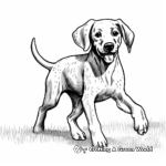 Fun and Playful German Shorthaired Pointer Coloring Pages 1