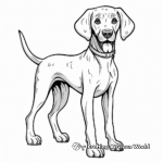 Fun and Playful German Shorthaired Pointer Coloring Pages 2