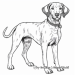 Fun and Playful German Shorthaired Pointer Coloring Pages 3