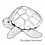 Fun Kemp's Ridley Turtle Shell Coloring Pages 1