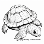 Fun Kemp's Ridley Turtle Shell Coloring Pages 2