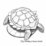 Fun Kemp's Ridley Turtle Shell Coloring Pages 3