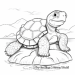 Galápagos Tortoise Coloring Pages 1