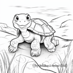 Galápagos Tortoise Coloring Pages 3