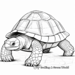 Galapagos Giant Tortoise Coloring Pages 3
