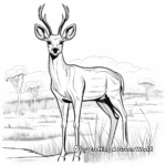 Gazelle in the Savanna Coloring Pages 1