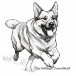 German Shepherd in Action Coloring Pages 2