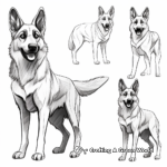 German Shepherd in Different Poses Coloring Pages 1