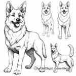 German Shepherd in Different Poses Coloring Pages 3